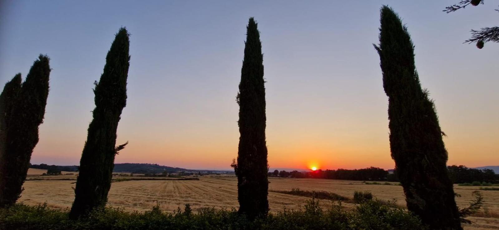Agriturismo Il Canneto 卡索莱代尔萨 外观 照片